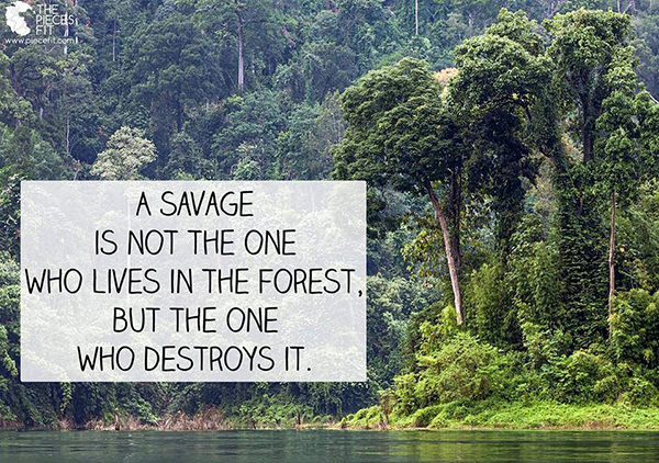 Hard Truths #8: A savage is not the one who lives in the forest, but the one who destroys it.