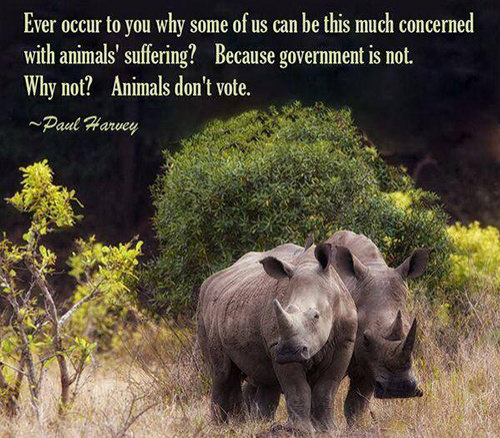 Hard Truths #14: Ever occur to you why some of us can be this much concerned with animals' suffering? Because government is not. Why not? Animals don't vote.