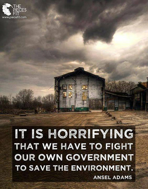 Hard Truths #35: It is horrifying that we have to fight our own government to save the environment.
