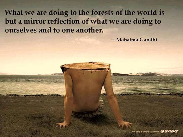 Hard Truths #49: What we are doing to the forests of the world is but a mirror reflection of what we are doing to ourselves and to one another.