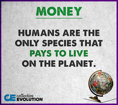 Hard Truths #62: Humans are the only species that pays to live on the planet.