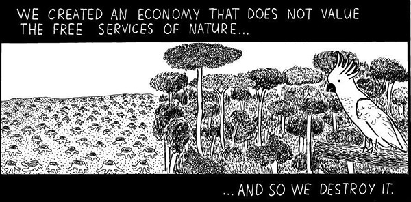 Hard Truths #68: We created an economy that does not value the free services of nature, and so we destroy it.
