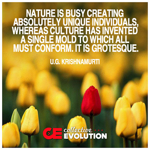 Hard Truths #74: Nature is busy creating absolutely unique individuals, whereas culture has invented a single mold to which all must conform. It is grotesque.