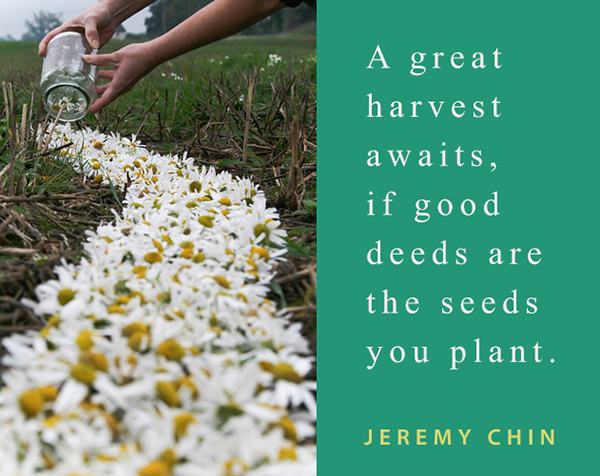 Jeremy Chin #30: A great harvest awaits, if good deeds are the seeds you plant.