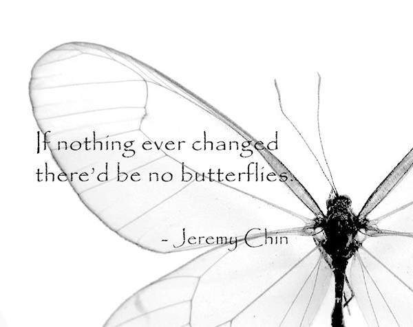 Jeremy Chin #48: If nothing ever changed, there'd be no butterflies.