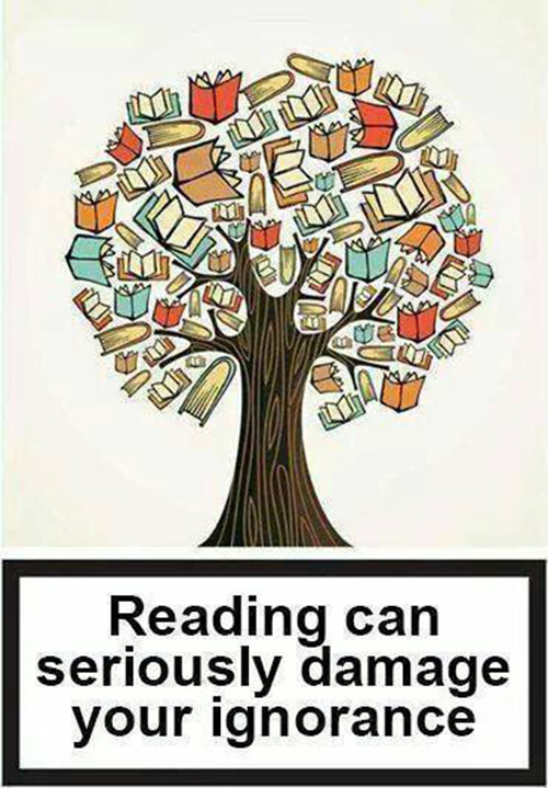 Literary #2: Reading can seriously damage your ignorance.