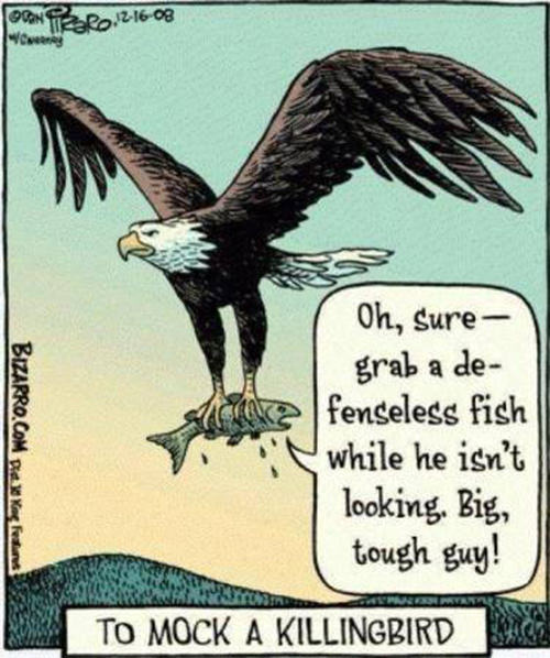 Literary #125: Oh, sure, grab a defenseless fish while he isn't looking. Big tough guy. - To Mock A Killingbird