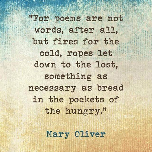 Literary #143: For poems are not words, after all, but fires for the cold, ropes let down to the lost, something as necessary as bread in the pockets of the hungry.