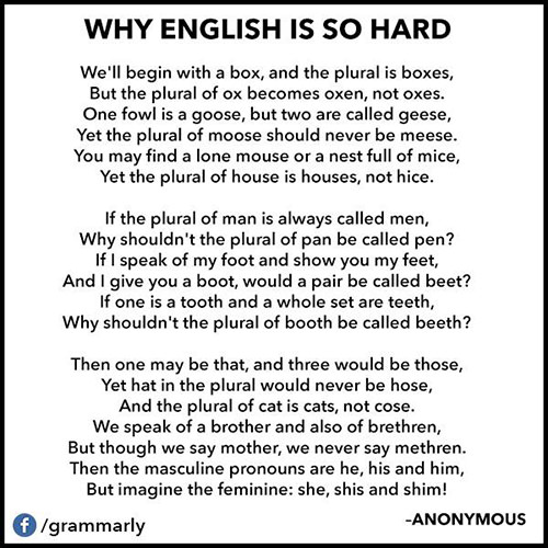 Literary #161: Why English Is So Hard. We’ll begin with a box, and the plural is boxes, but the plural of ox should be oxen, not oxes. Then one fowl is a goose, but two are called geese, yet the plural of moose should never be meese. You may find a lone mouse or a whole nest of mice, but the plural of house is houses, not hice. If the plural of man is always called men, why shouldn’t the plural of pan be called pen? The cow in the plural may be cows or kine, but a bow if repeated is never called bine. And the plural of vow is vows, never vine. If I speak of a foot and you show me your feet, and I give you a boot would a pair be called beet? If one is a tooth, and a whole set are teeth,
why shouldn’t the plural of booth be called beeth? If the singular’s this and the plural is these, should the plural of kiss ever be nicknamed keese? Then one may be that and three would be those, yet hat in the plural would never be hose, and the plural of cat is cats, not cose. We speak of a brother, and also of brethren,
but though we say mother, we never say methren. Then the masculine pronouns are he, his and him, but imagine the feminine she, shis and shim. So the English, I think, you all will agree, is the queerest language you ever did see.
