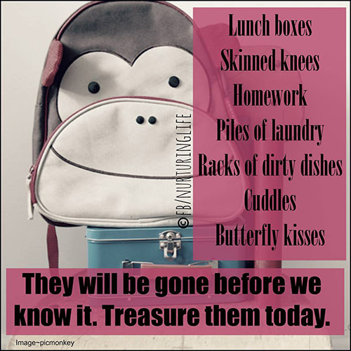 Parenting #29: Lunch boxes. Skinned knees. Homework. Piles of laundry. Racks of dirty dishes. Cuddles. Butterfly kisses. They will be gone before we know it. Treasure them today.