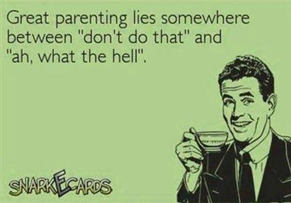 Parenting #31: Great parenting lies somewhere between, don't do that, and ah what the hell.