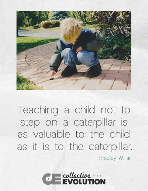 Parenting #44: Teaching a child not to step on a caterpillar is as valuable to the child as it is to the caterpillar.