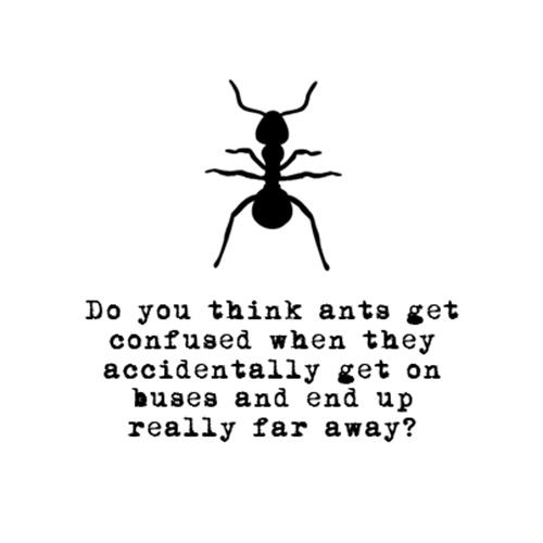 Relatable Humor #164: Ant Humor