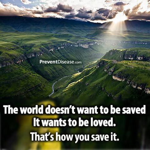 Save Our Planet #12: The world doesn't want to be saved. It wants to be loved. That's how you save it.