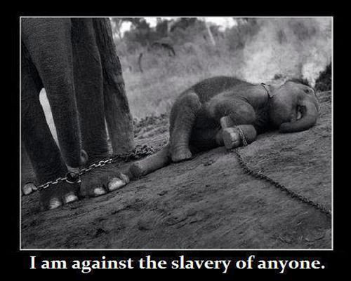 Save Our Planet #16: I am against the slavery of anyone.