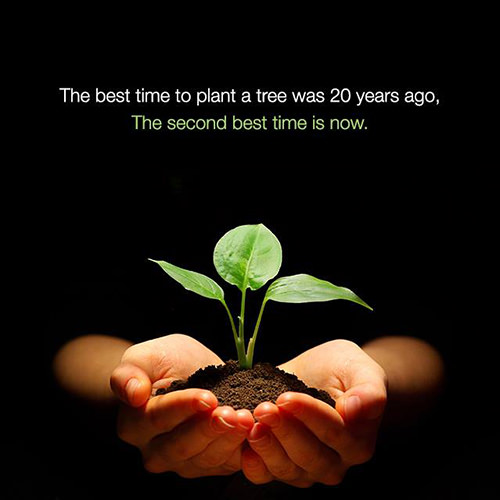 Save Our Planet #26: The best time to plant a tree was 20 years ago. The second best time is now.