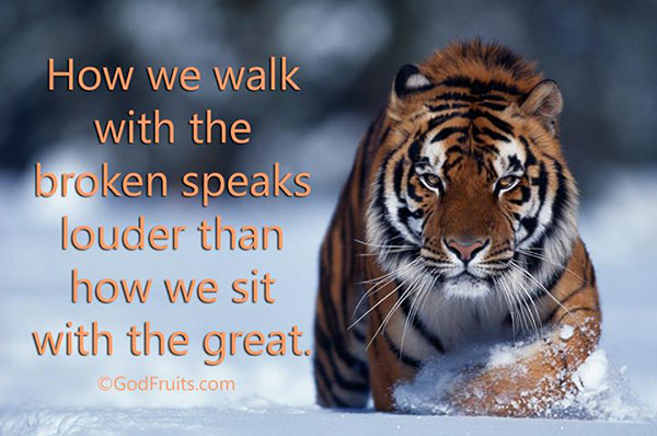 Save Our Planet #33: How we walk with the broken speaks louder than how we sit with the great.