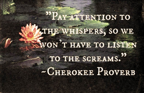 Save Our Planet #38: Pay attention to the whispers, so we won't have to listen to the screams.