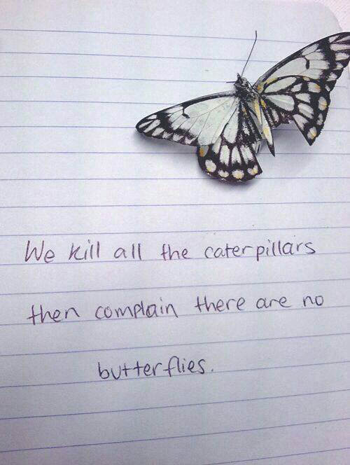 Save Our Planet #43: We kill all the caterpillars then complain there are no butterflies.