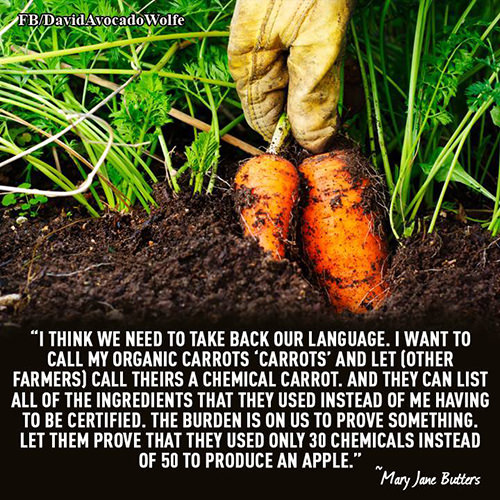 Save Our Planet #56: I think we need to take back our language. I want to call my organic carrots, 
