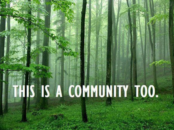 Save Our Planet #65: This is a community too.
