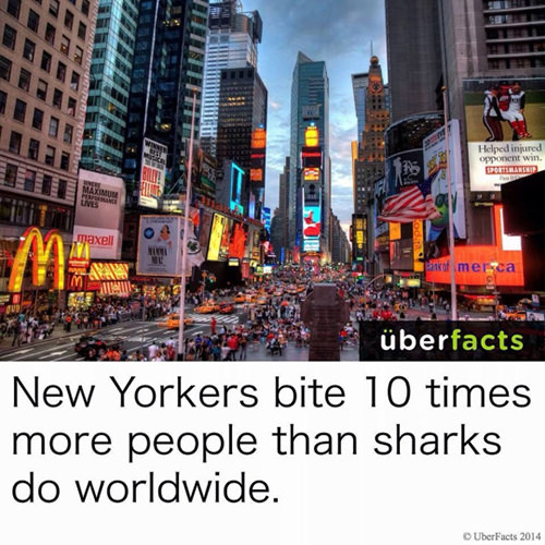 Save Our Planet #66: New Yorkers bite 10 times more people than sharks do worldwide.