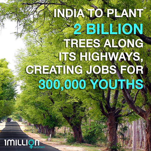 Save Our Planet #67: India to plant 2 billion tress along its highways, creating jobs for 300,000 youths.