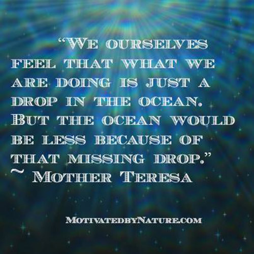 Spread Love #41: We ourselves feel that what we are doing is just a drop in the ocean, but the ocean would be less because of that missing drop.
