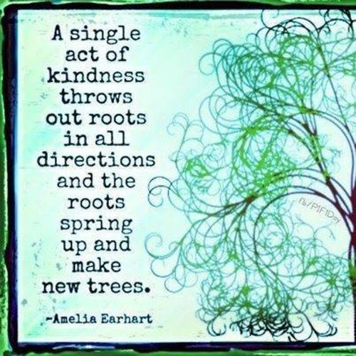 Spread Love #52: A single act of kindness throws out roots in all directions and the roots spring up and make new trees.