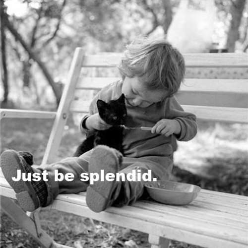 Spread Love #53: Just be splendid.