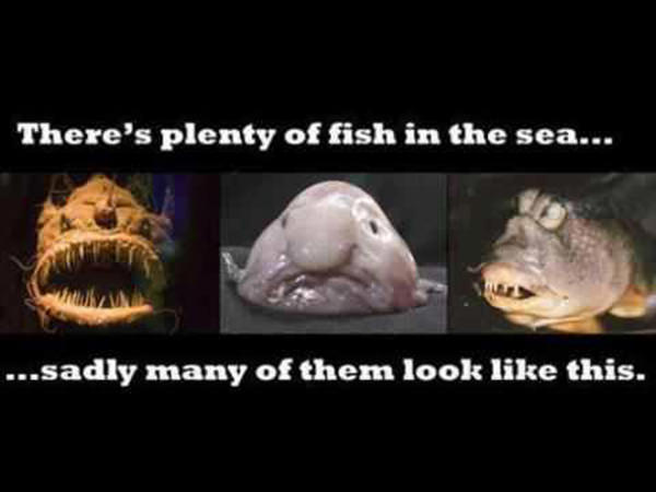 Tickled #3: Fish In The Sea Joke
