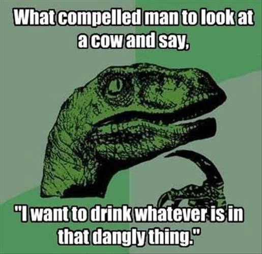 Tickled #59: Funny Philosoraptor Cow Joke
