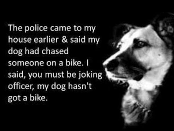 Tickled #199: Funny Police and Dog Joke