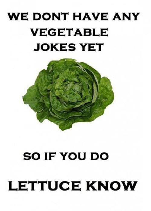 Tickled #206: We don't have any vegetable jokes yet. So if you do, lettuce know.