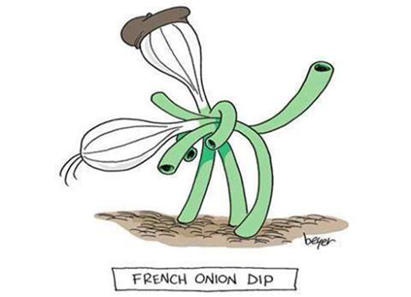 Tickled #211: French Onion Dip