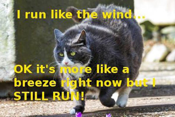 Tickled #214: I run like the wind. Ok, it's more like a breeze right now.
