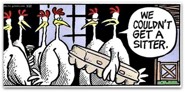Tickled #223: Chicken Joke