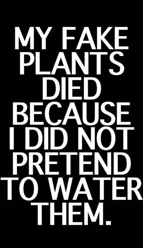 Tickled #256: My fake plants died because I did not pretend to water them.