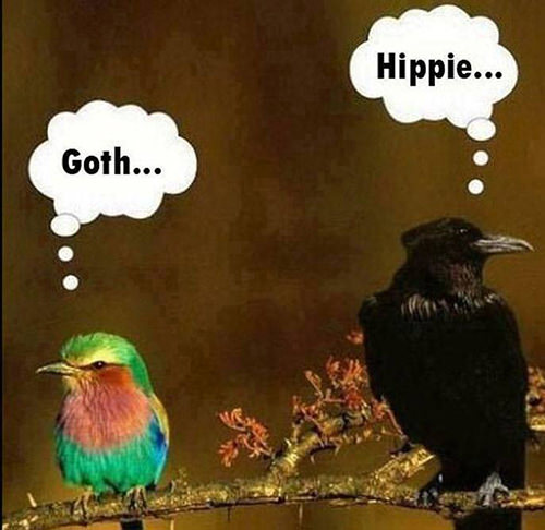 Tickled #257: Goth. Hippie.