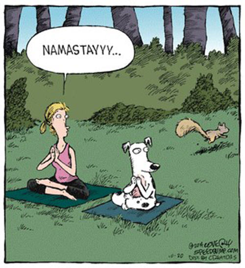 Tickled #264: Namastayyyy! Dog Humor.