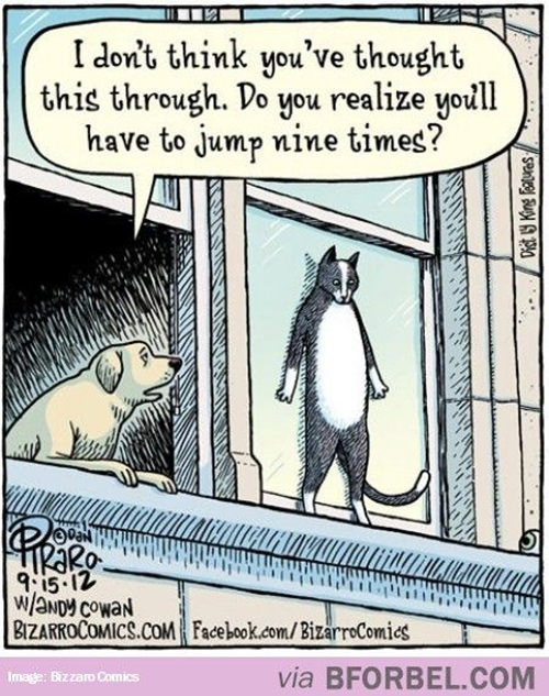 Tickled #268: Cat Joke