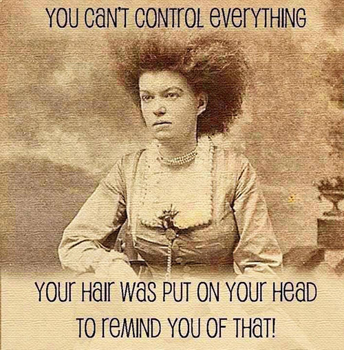 Tickled #356: Bad hair day humor.