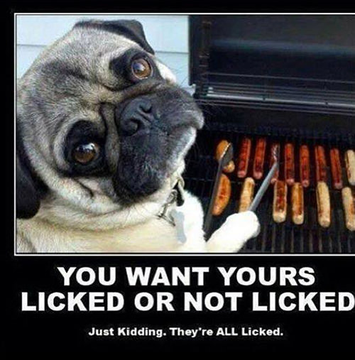 Tickled #370: Dog Humor