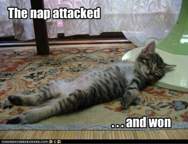 Tickled #388: The nap attacked and won.