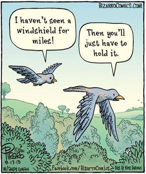 Tickled #401: Bird Shit Humor