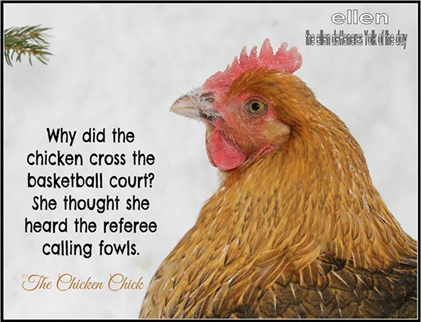 Tickled #417: Why did the chicken cross the basketball court? She thought she heard the referee calling fowls.