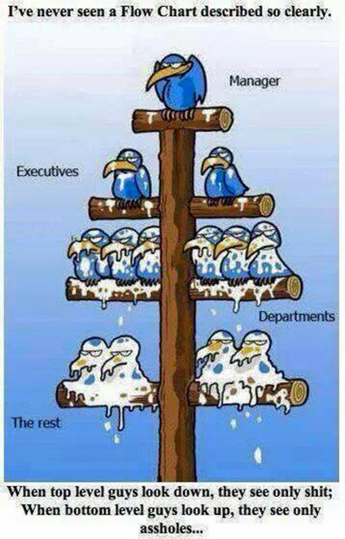 Tickled #420: Business Organization Flow Chart. Shit and Assholes.