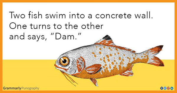 Tickled #446: Two fish swim into a concrete wall. One turns to the other and says, 