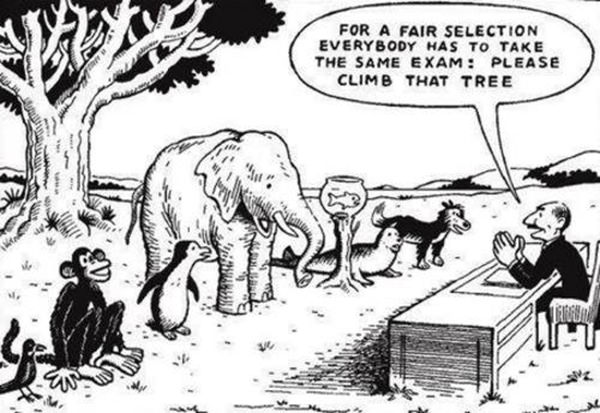 Tickled #449: For a fair selection, everybody has to take the same exam. Please climb that tree.