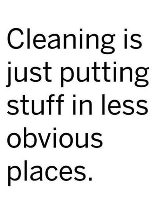 Tickled #463: Cleaning is just putting stuff in less obvious places.